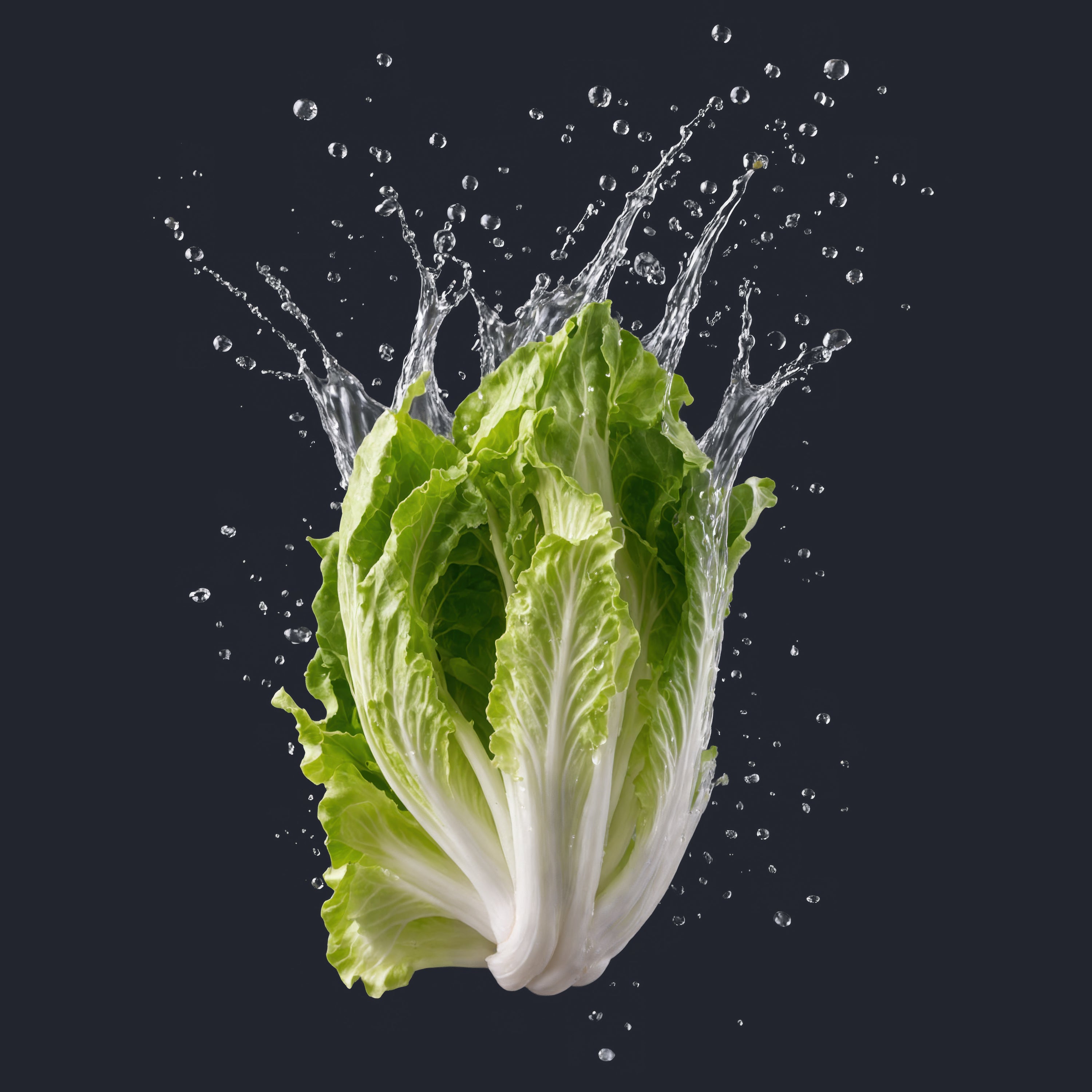 🥬 FREE High-Resolution Lettuce Image
