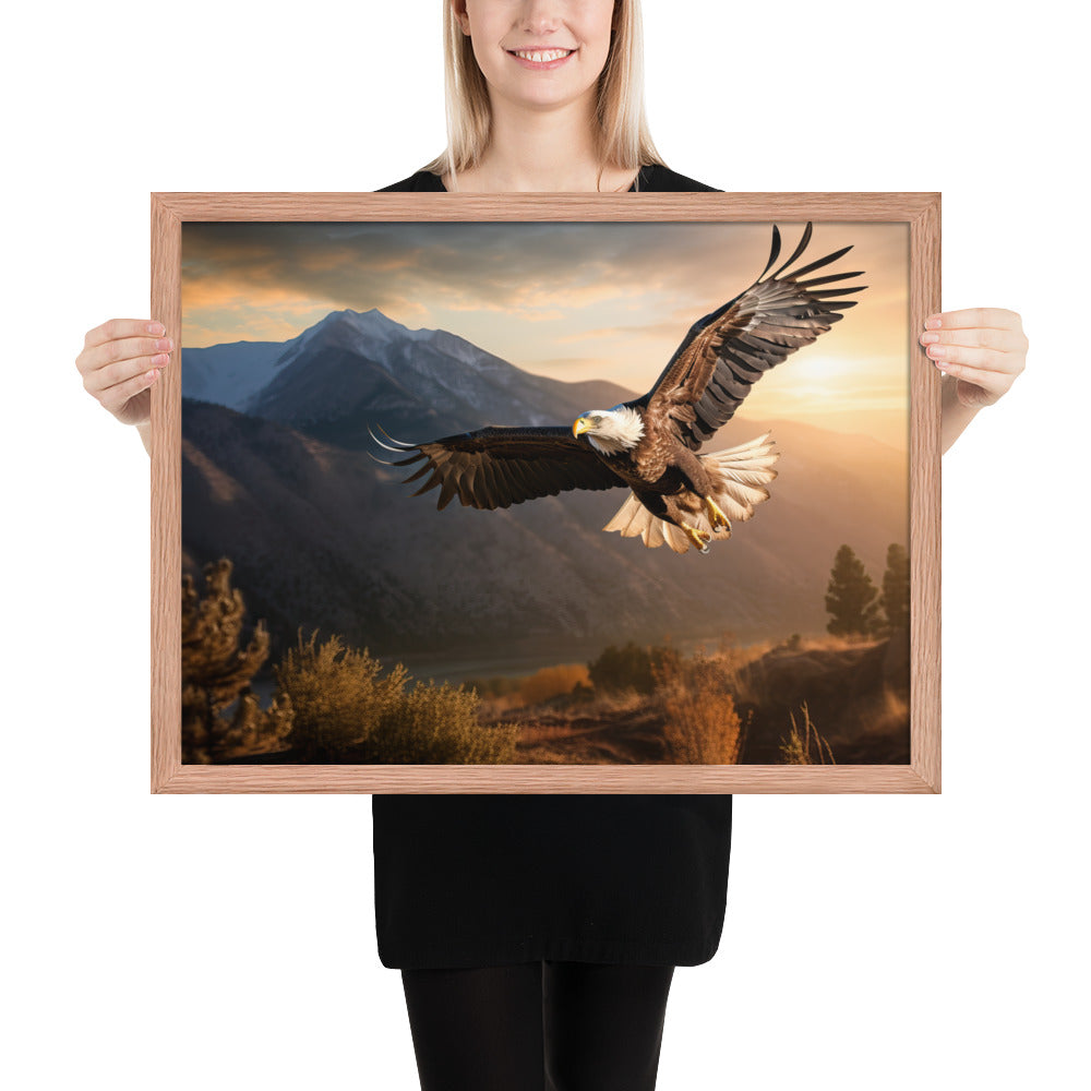 Bald Eagle Flying Framed Art